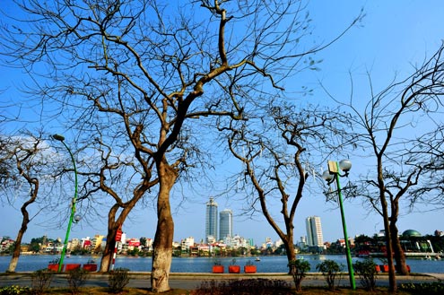 Hanoi emerges to enjoy the season