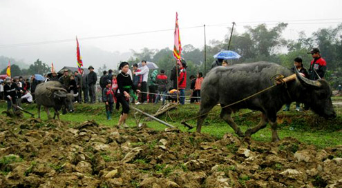 Festival of praying for crops of Tay ethnic people