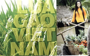 Lúa gạo Việt Nam trước vận hội mới