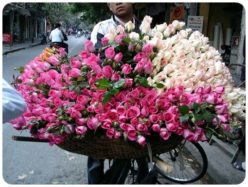 Mùa xuân, nghĩ về những gánh hàng hoa
