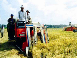 Xây dựng nông thôn mới là sự nghiệp cách mạng lâu dài của Đảng và nhân dân ta