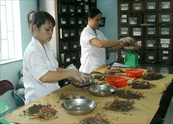 俄媒歌颂越南古传医学