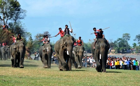 Course d’éléphants au Tây Nguyên