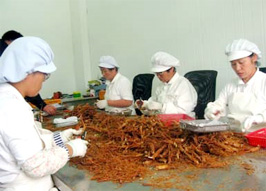 Third Geumsan Ginseng Festival in Vietnam