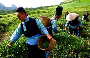 Việt Nam thành công trong giảm nghèo