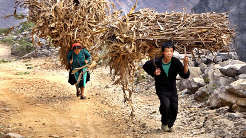 Chống lạm phát và vấn đề an sinh
