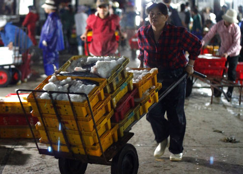 Women earning at night market