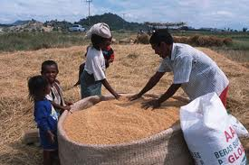 La FAO appelle à l’équilibre alimentaire