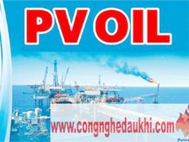 PetroVietnam establishes company in Laos