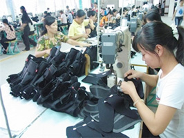 Be careful when exporting leather-capped shoes to EU