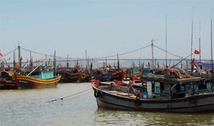 Cử tri làm việc trên biển nắm chắc thông tin về Bầu cử qua máy Icom
