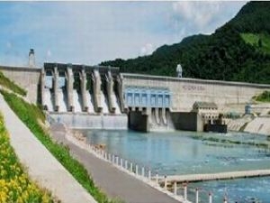 VND 105 billion cut to help urgent agricultural projects