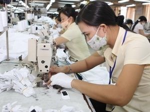 Les relations commerciales franco-vietnamiennes en débat