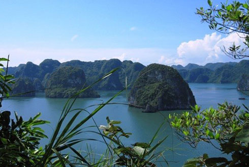 Green Ha Long Bay