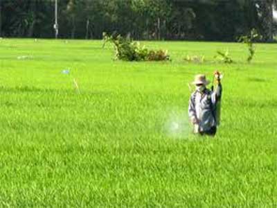 Hồ Đồng Mỏ - lời giải cho bài toán về nước của 3 xã Đạo Trù, Bồ Lý, Yên Dương