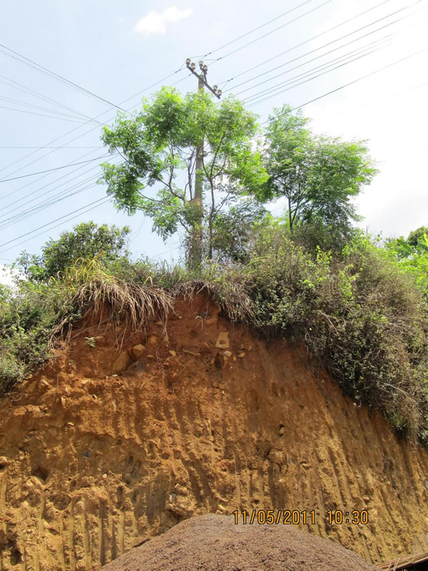 Đắk Lắk Khẩn trương hoàn thành di dời đường dây 22kV