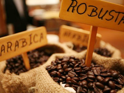 New coffee processing facility opens in Dak Lak province