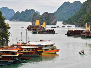 Hơn 55 vạn khách du lịch tham quan vịnh Hạ Long