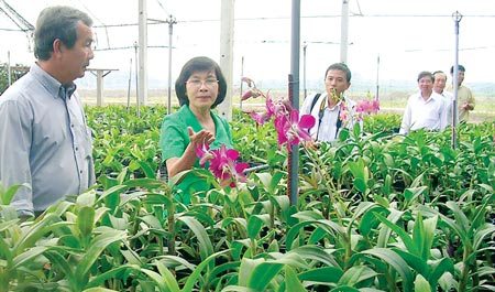 Cần đẩy mạnh thu hút FDI vào khu vực nông nghiệp