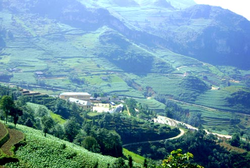Si Ma Cai Beauty