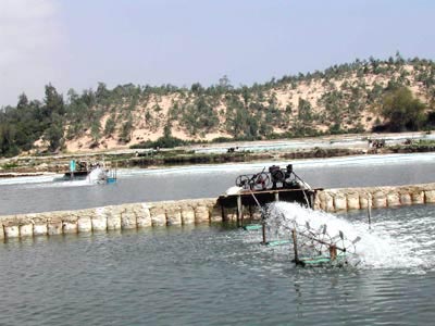 Vinh Long promotes construction of economic infrastructure in rural areas