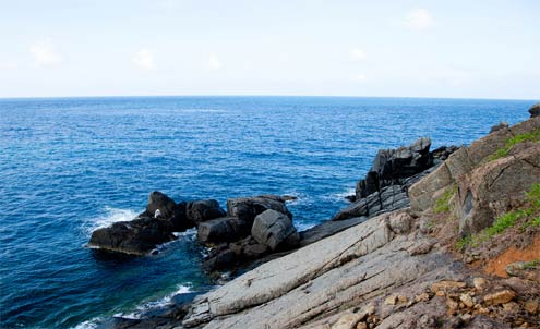Wild and attractive Con Dao