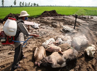 Cần nhanh chóng hình thành và phát triển bảo hiểm nông nghiệp