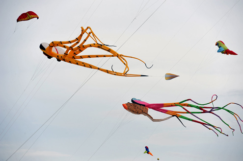 Strange-looking kites in Nha Trang Kite Festival