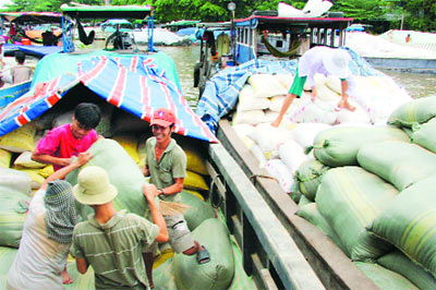 VFA to buy 1 million tonnes of rice for temporary reserves