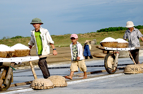 Salt imports proposed for suspension