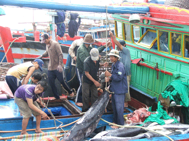 Phú Yên Gắn phát triển kinh tế biển với bảo vệ chủ quyền