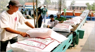 2011 rice exports estimated at 7 1-7 4 million tonnes