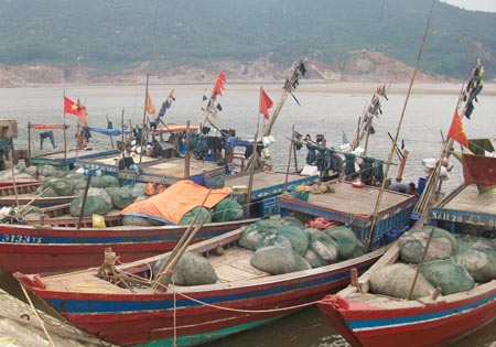 Phát triển bền vững biển, đảo Việt Nam Lập tổ, đội sản xuất đoàn kết trên biển