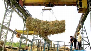 Vietnam exports 100,000 tonnes of sugar to China
