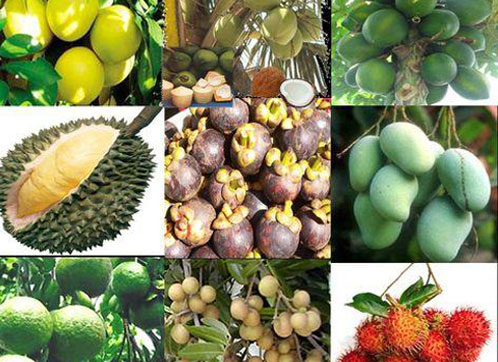 Vietkings valoriser la culture gastronomique vietnamienne