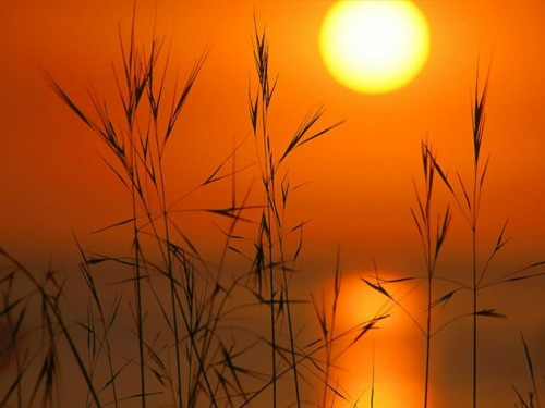 Un tour du monde des couchers de soleil