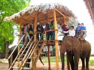 Độc đáo du lịch Buôn Đôn