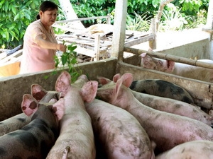 墨西哥高度评价越南扶贫工作