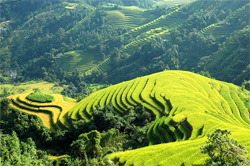 Scheme for 10 major national tourism areas