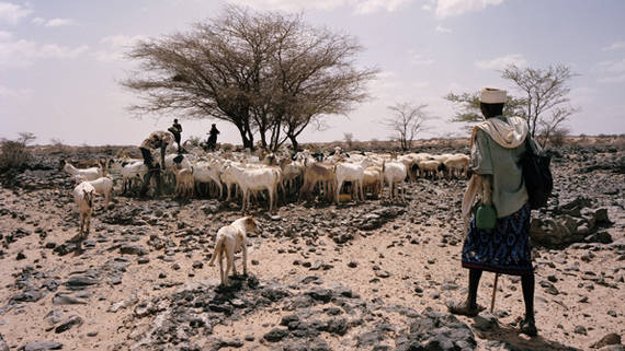 Corne de l Afrique  l ONU plaide pour une action d urgence et sur le long terme
