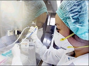 La FAO met en garde contre une possible réapparition du virus H5N1 de la grippe aviaire