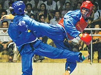 Bientôt le championnat national de Vovinam