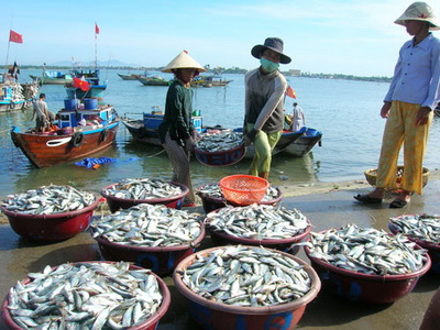 Vươn ra biển lớn khai thác hải sản góp phần khẳng định chủ quyền biển đảo quê hương