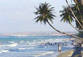 Famtrip International surveys Binh Thuan tourism