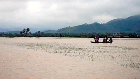 中部遭暴雨袭击直接经济损失达近1万亿越盾