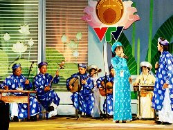Festival de Don ca tai tu de trois provinces méridionales