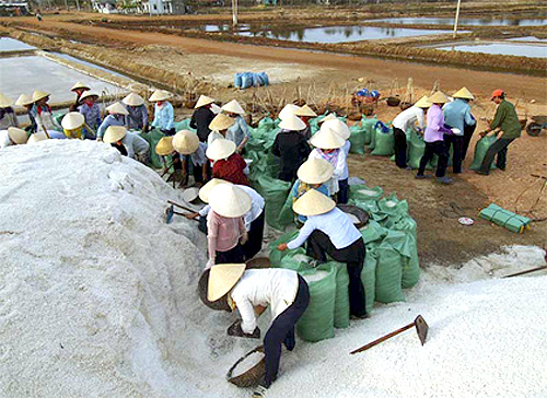 Imports of another 50,000 tonnes of salt permitted