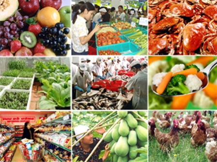 Vĩnh Phúc Tăng cường kiểm soát an toàn thực phẩm phục vụ Tết Nguyên đán Nhâm Thìn 2012