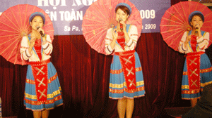 Art performances for people and soldiers during Tet 2012