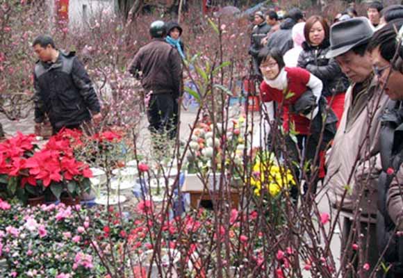 Hanoi organises 43 flower and agricultural product markets for Tet holiday